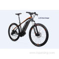 EU Warehouse Electric Bike Mountain